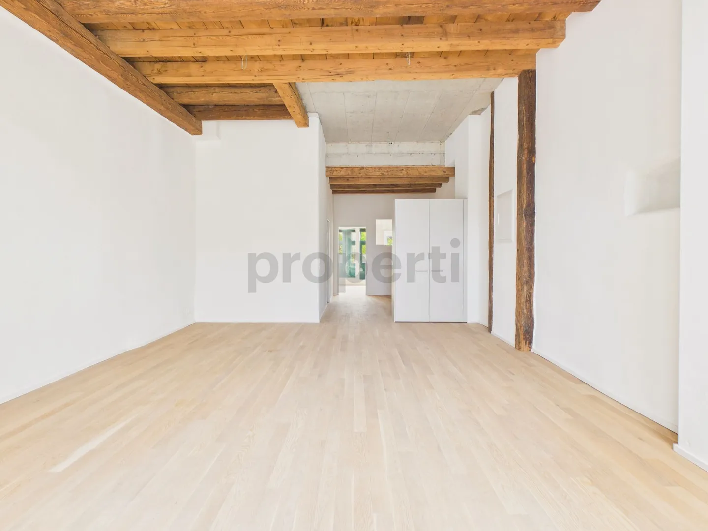 Appartement au rez-de-chaussée avec caractère, hauts plafonds et jardin privé - Photo 5 sur 13