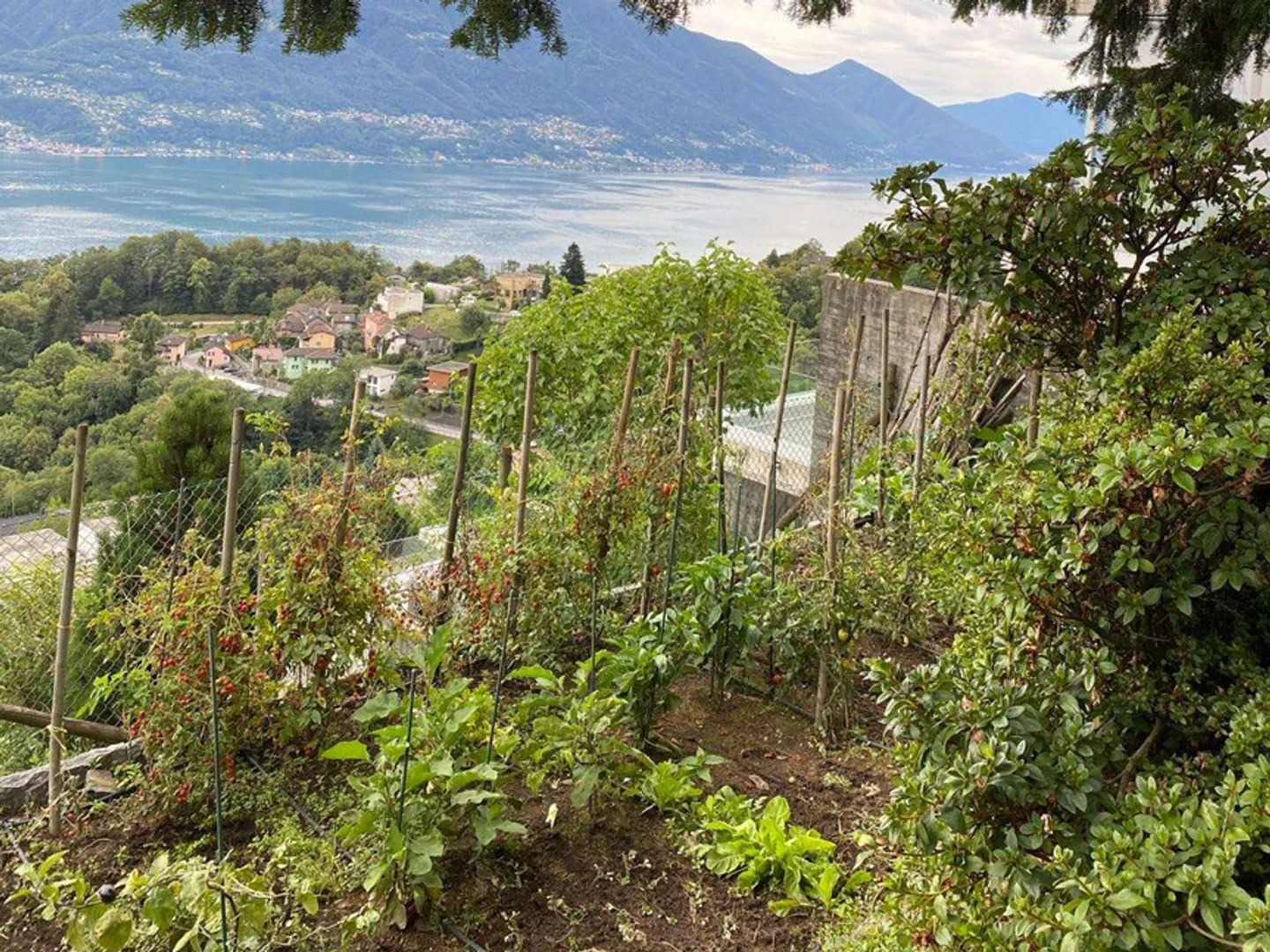 Building plot with lake view - Residential development opportunity - Photo 4 of 6