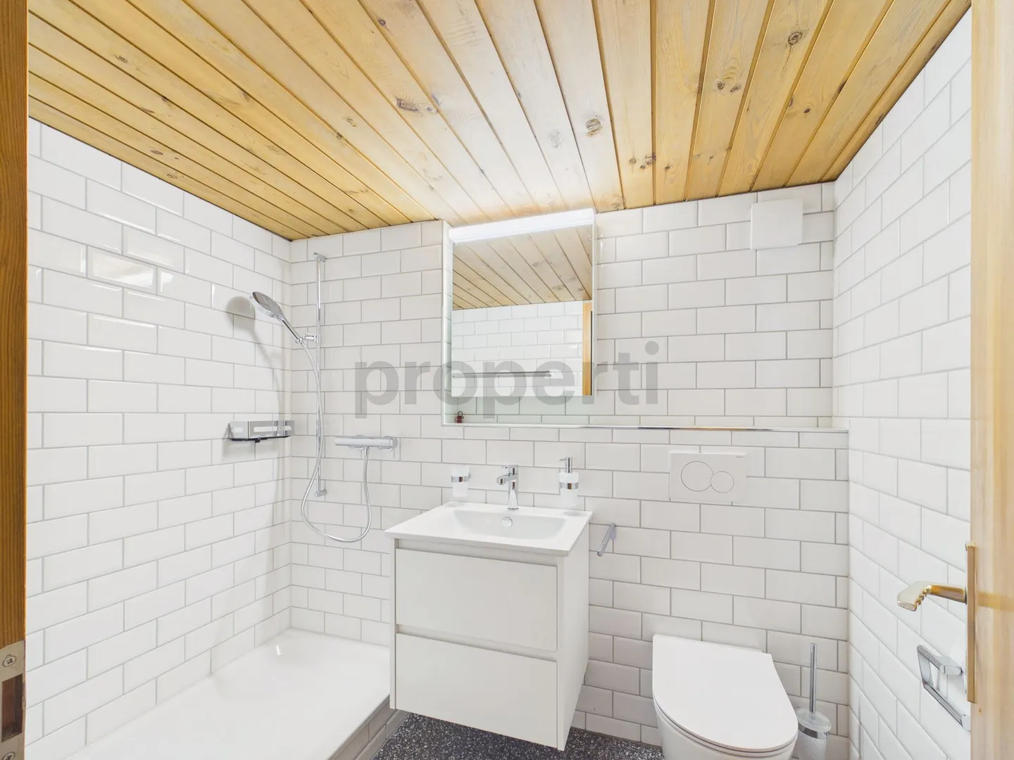 Renovated 2.5-Room Apartment - Photo 9 of 10