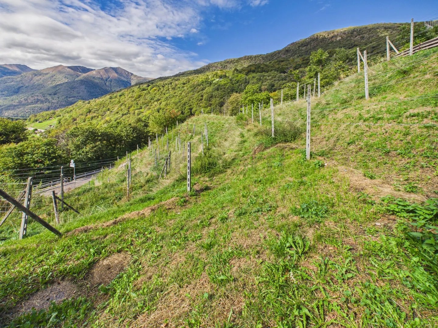 Large Building Plot of 1,389 m², High Potential & Panoramic Location! - Photo 2 of 8