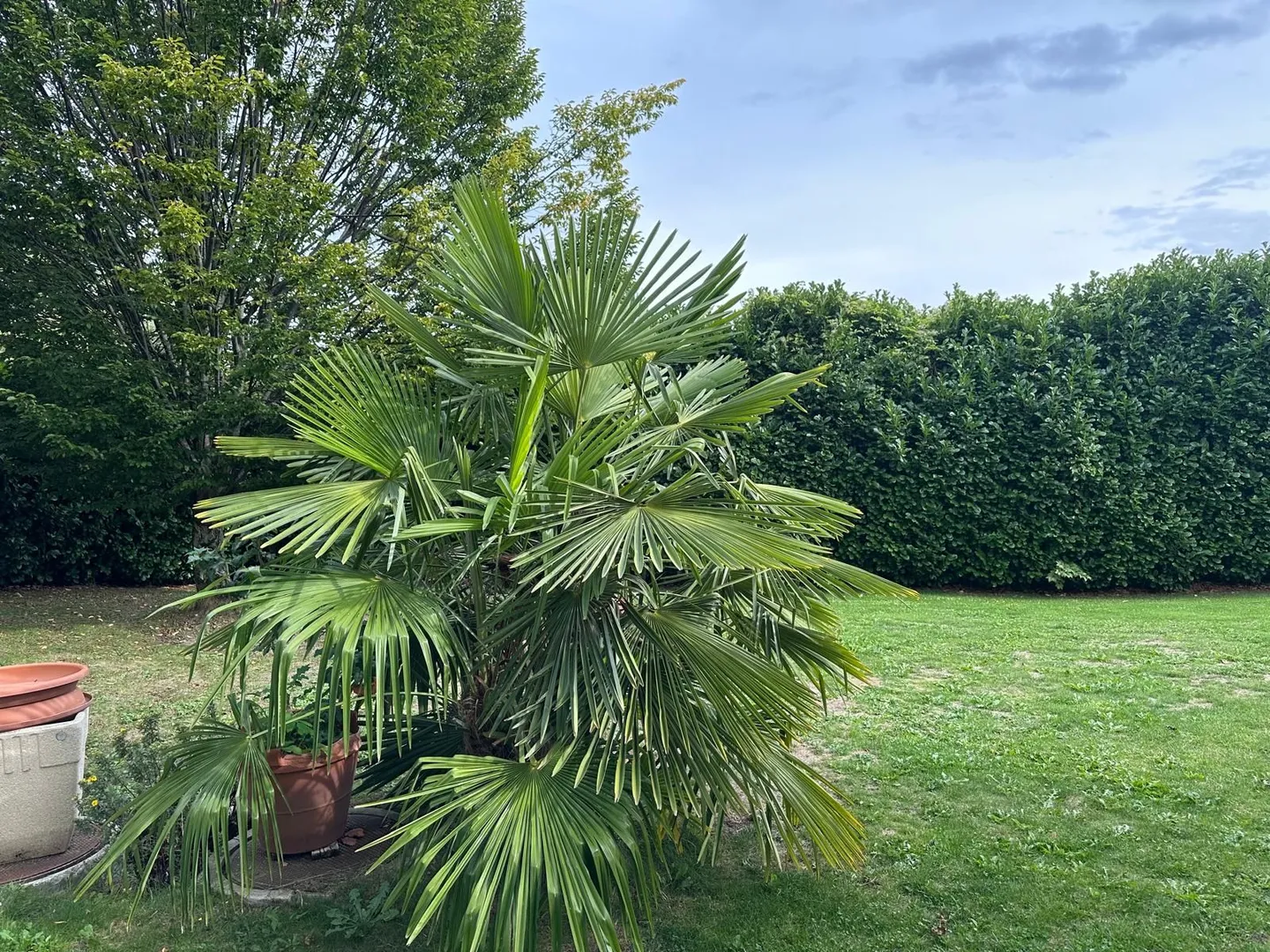 Appartement moderne de 2.5 pièces avec jardin à Mollens - Photo 6 sur 13