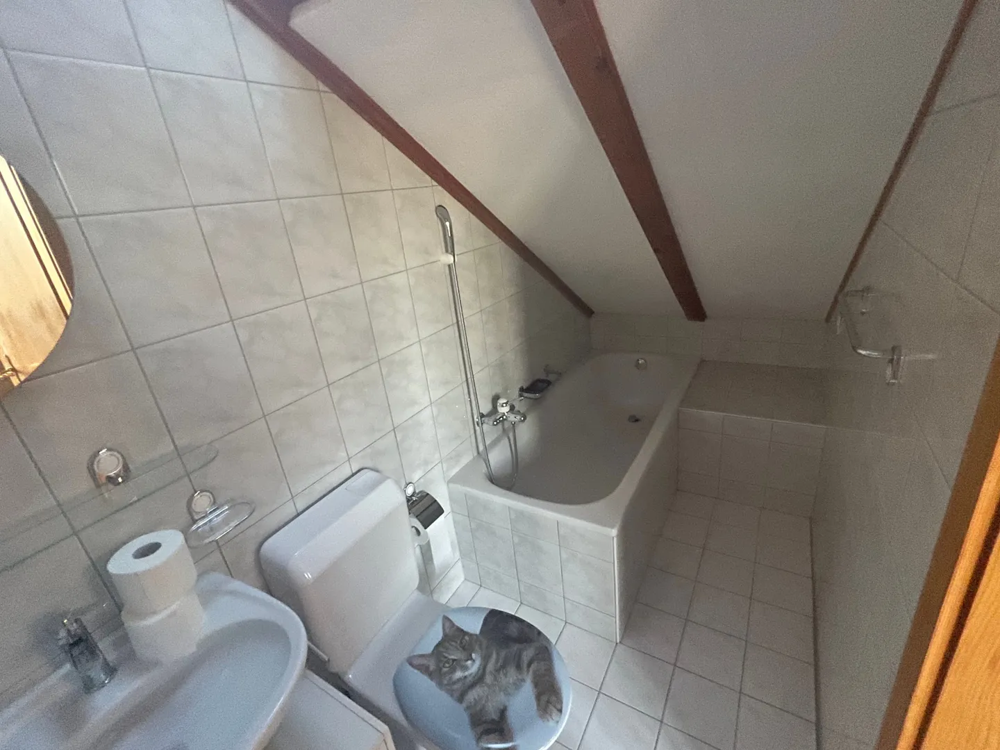 Appartement confortable et abordable entouré de nature et de zones de loisirs - Photo 10 sur 12