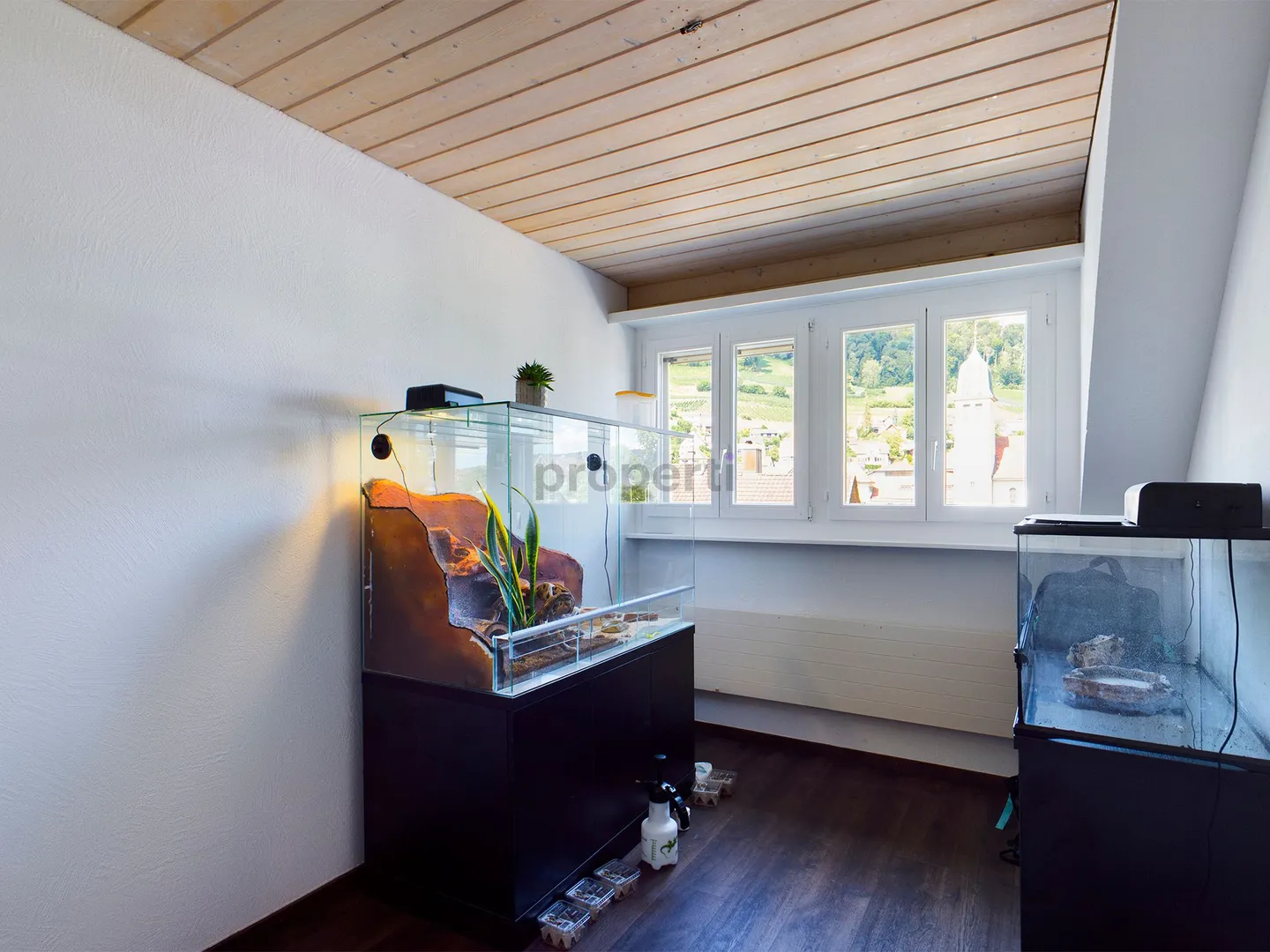 Modern 3.5-Room Attic Apartment with Practical Cellar Space, Stein am Rhein - Photo 4 of 7