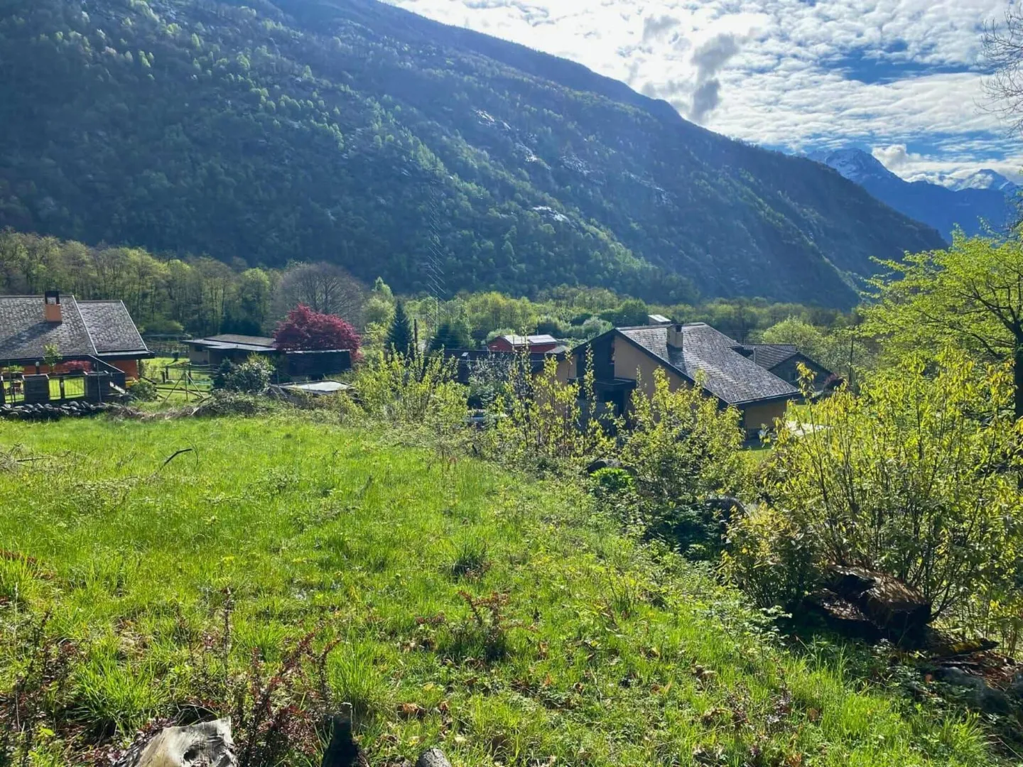 Terrain constructible avec piscine naturelle à Giornico - Photo 1 sur 7