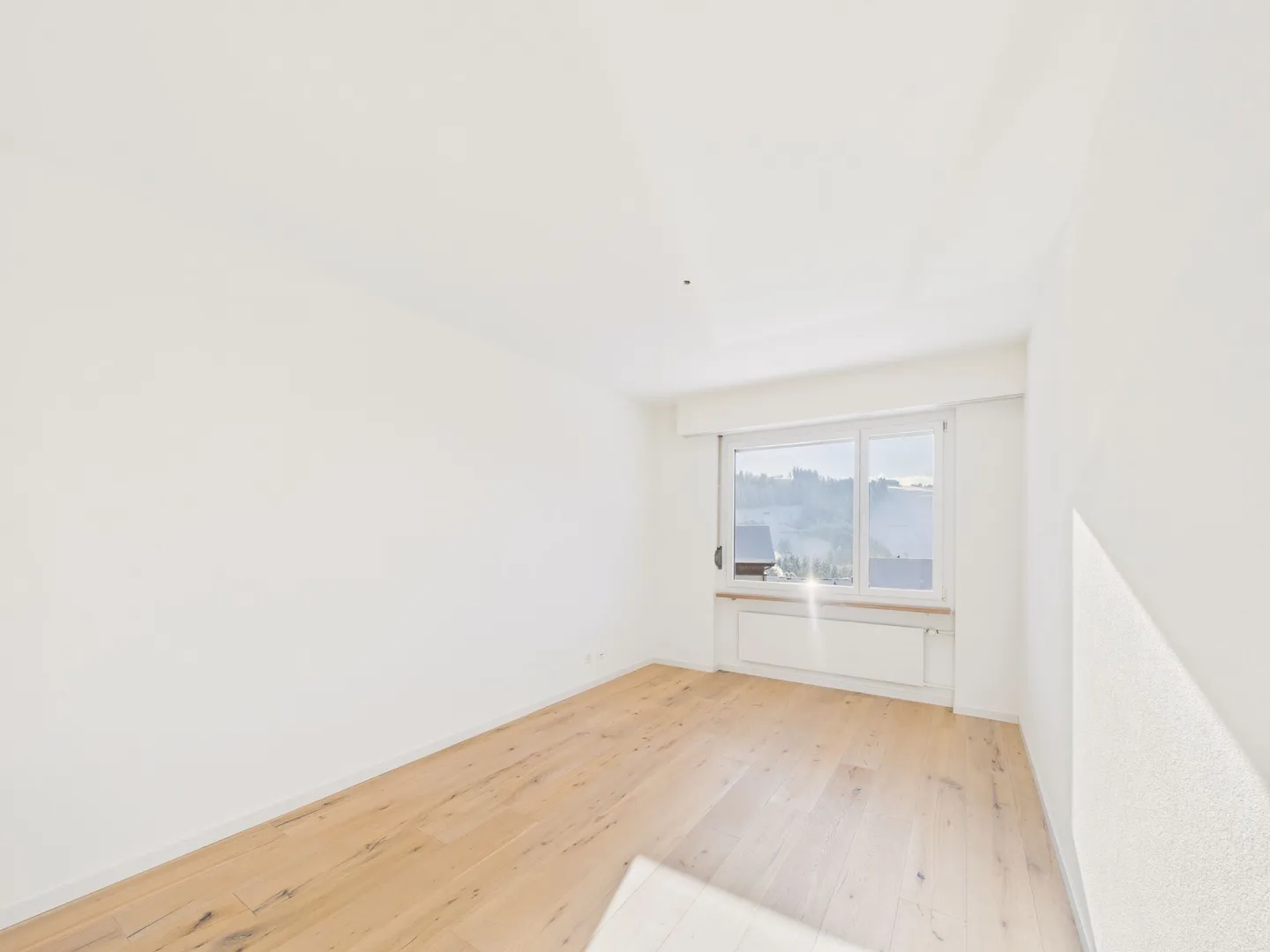 Modern residential jewel in Eggersriet, Canton SG - freshly renovated - Photo 6 of 12