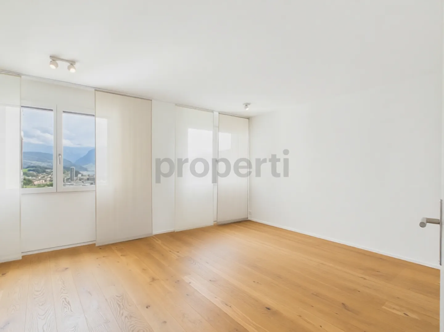 Dreamlike view of Lake Lucerne: Cozy fireplace, utility room with washing tower and two underground parking spaces - Photo 7 of 13
