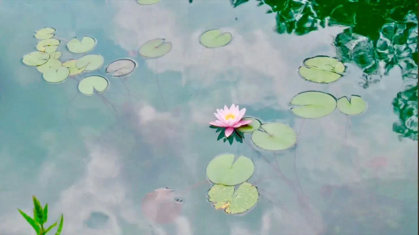 Elegant detached house with 7.5 rooms and balcony in Odogno - Photo 6 of 7