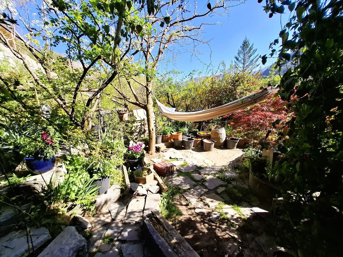 Charmante maison rustique avec jardin et grand terrain attenant à Auressio - Photo 12 sur 13