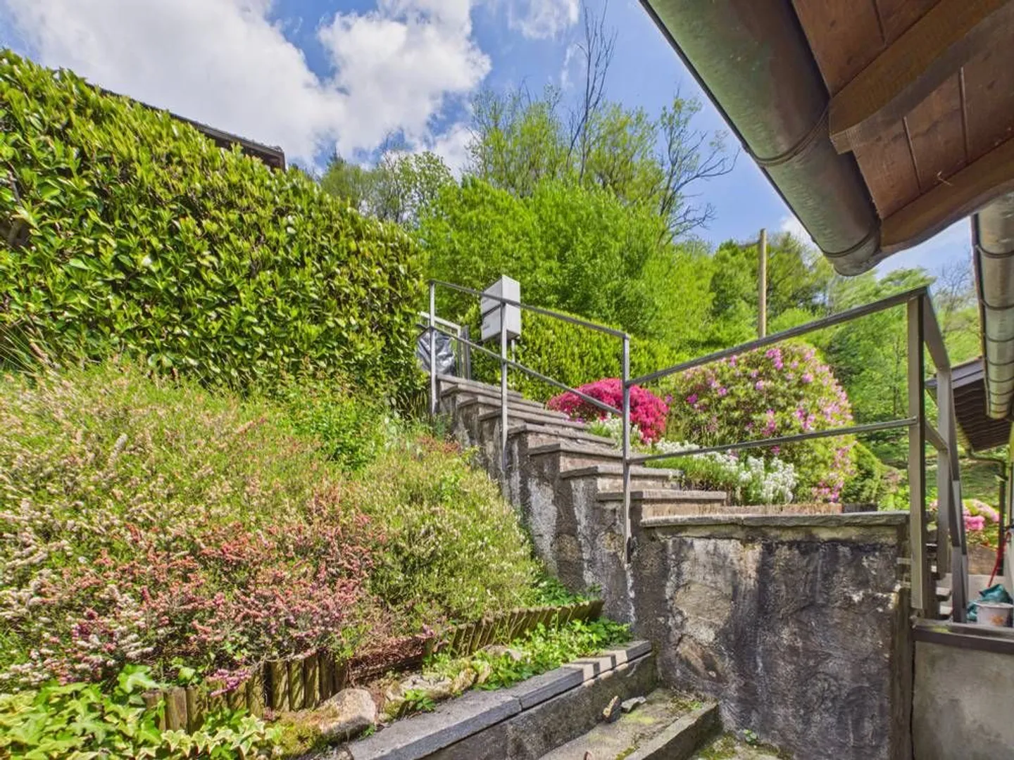 Charming semi-detached villa with large garden in Purasca - Photo 12 of 13