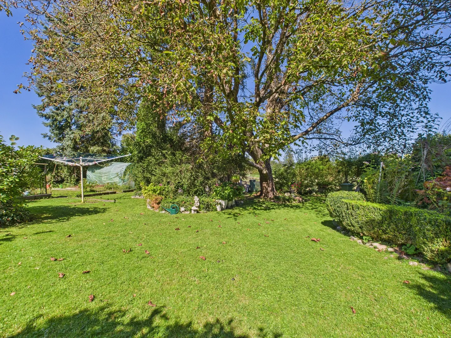 Idyllic End Row House with Great Potential - Photo 11 of 12