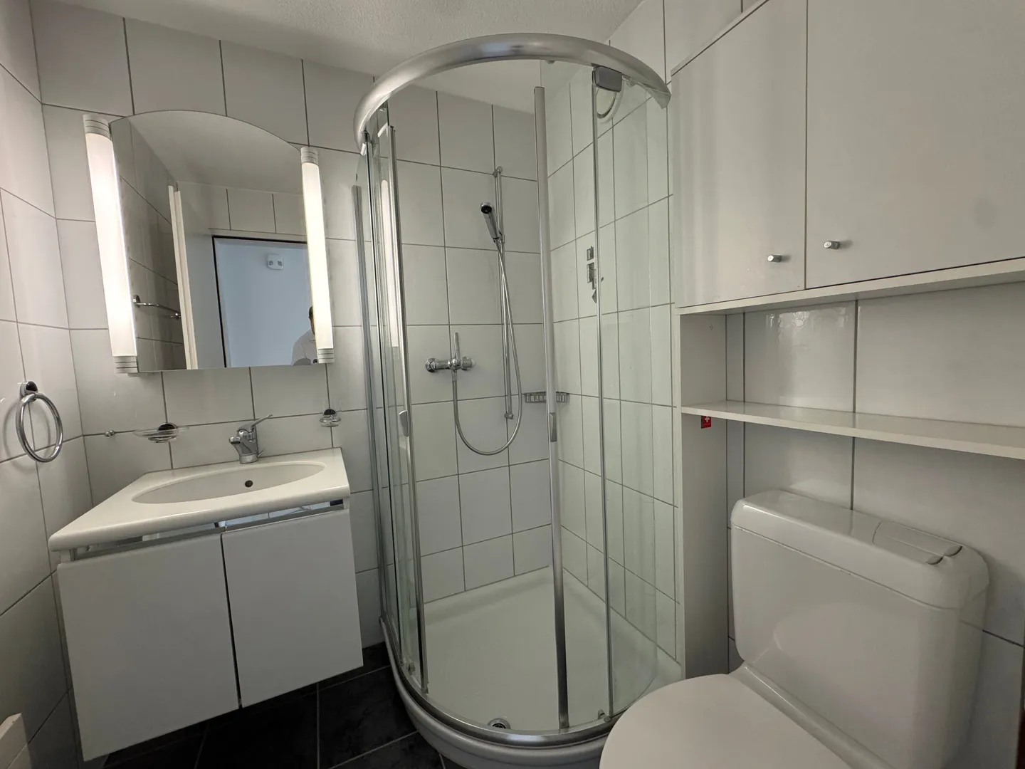 Appartamento 5.5 stanze appena ristrutturato in affitto a Ruswil - Foto 10 di 11