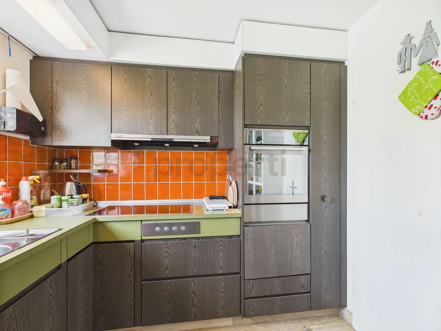 Spacious 6.5 Room Apartment in Lustmühle (Teufen AR) with Stunning Mountain View - Photo 5 of 13