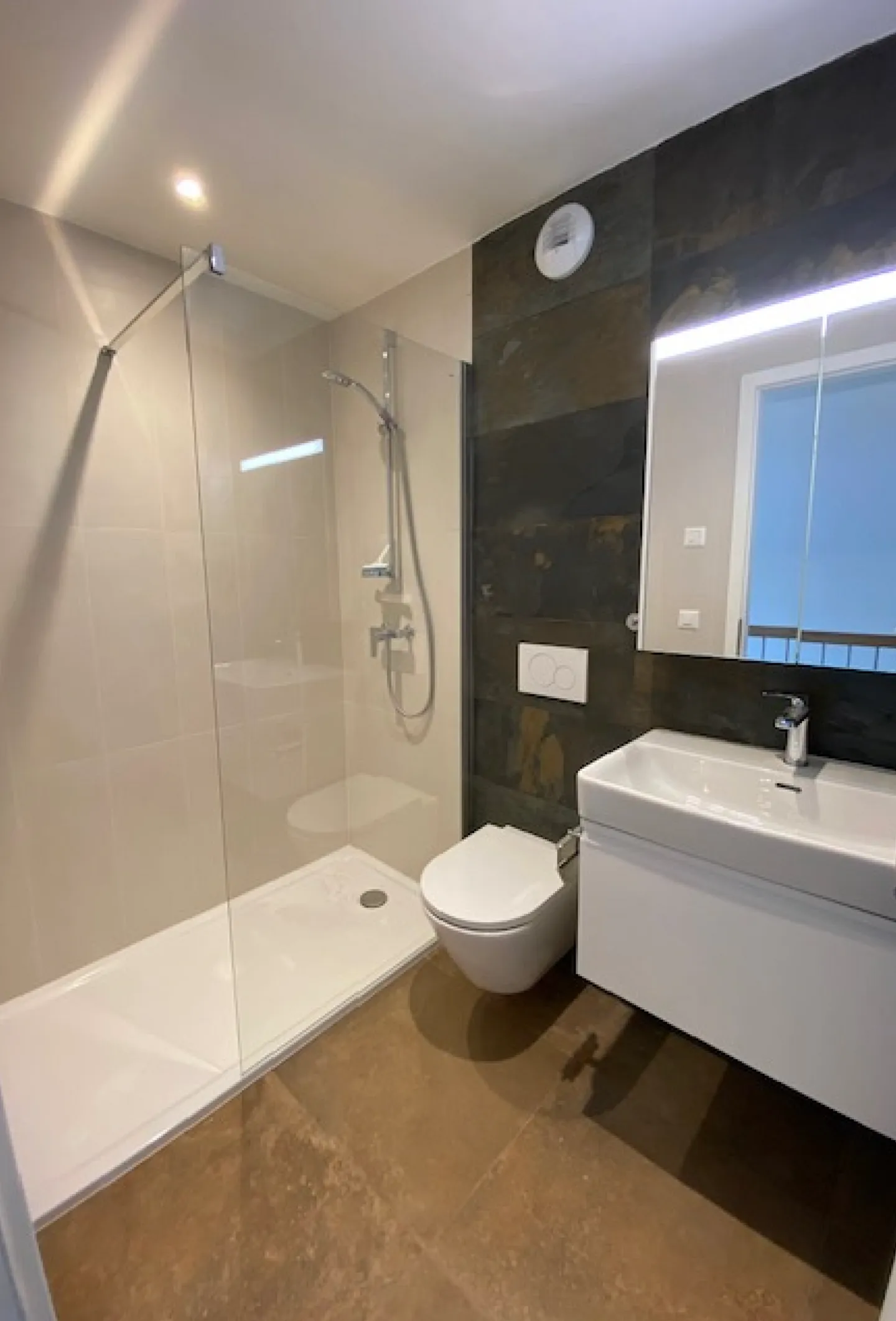 Genthod - High-Quality Twin Villa with Garden and Independent Studio - Photo 5 of 9