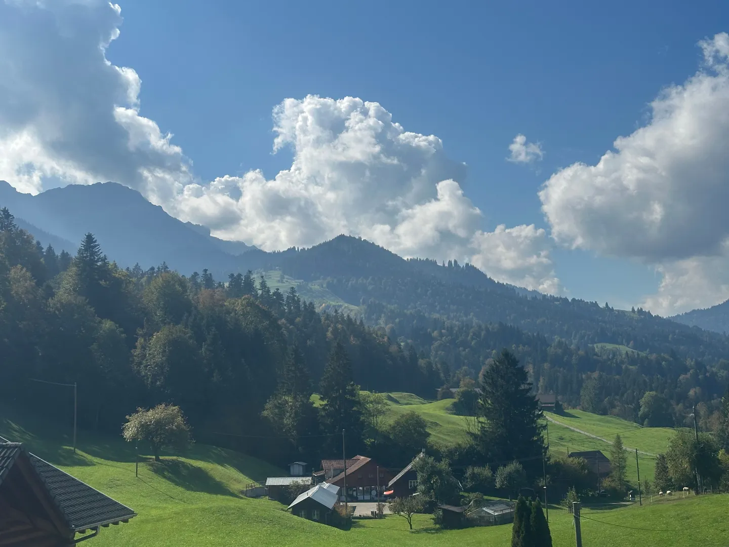 Modernes Einfamilienhaus in Natur - Foto 5 von 10
