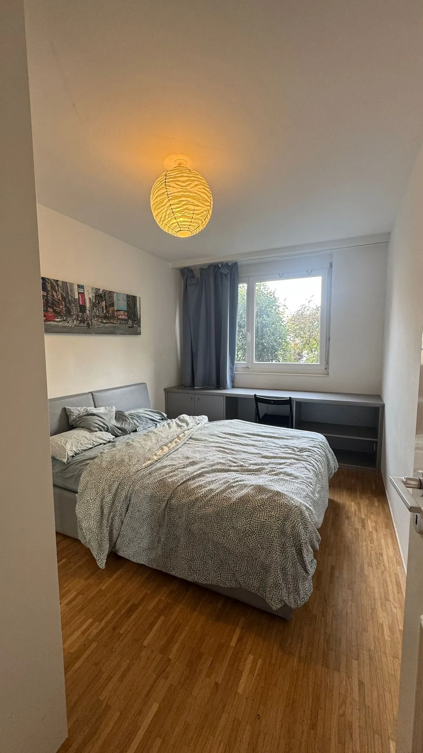 Appartamento arredato, moderno e luminoso con giardino a Châtelaine di 5 locali - Foto 5 di 7