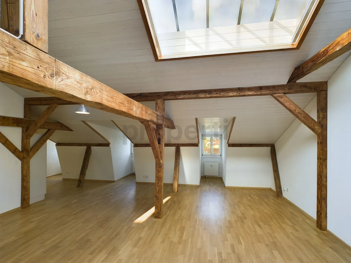 Newly renovated 3-room penthouse with basement, Basel - Photo 1 of 9