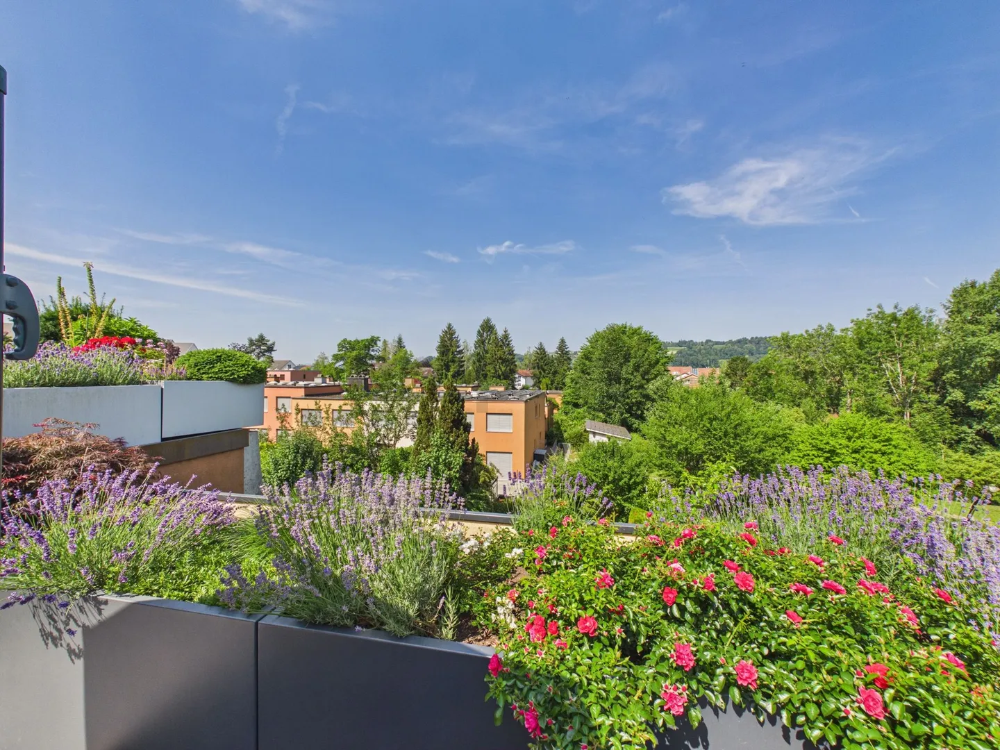 Giardino accogliente e soleggiato e atmosfera familiare in un ambiente adatto alle famiglie - Foto 5 di 13