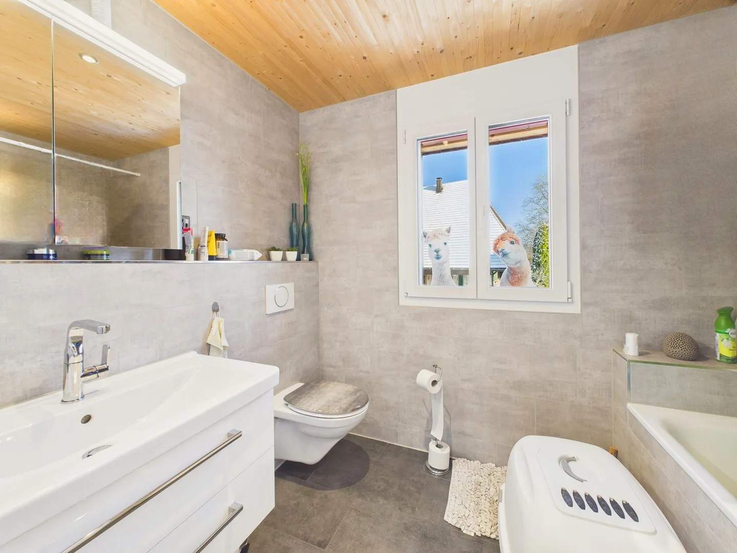 Bright 4.5-Room Apartment in Buchegg - Photo 9 of 12