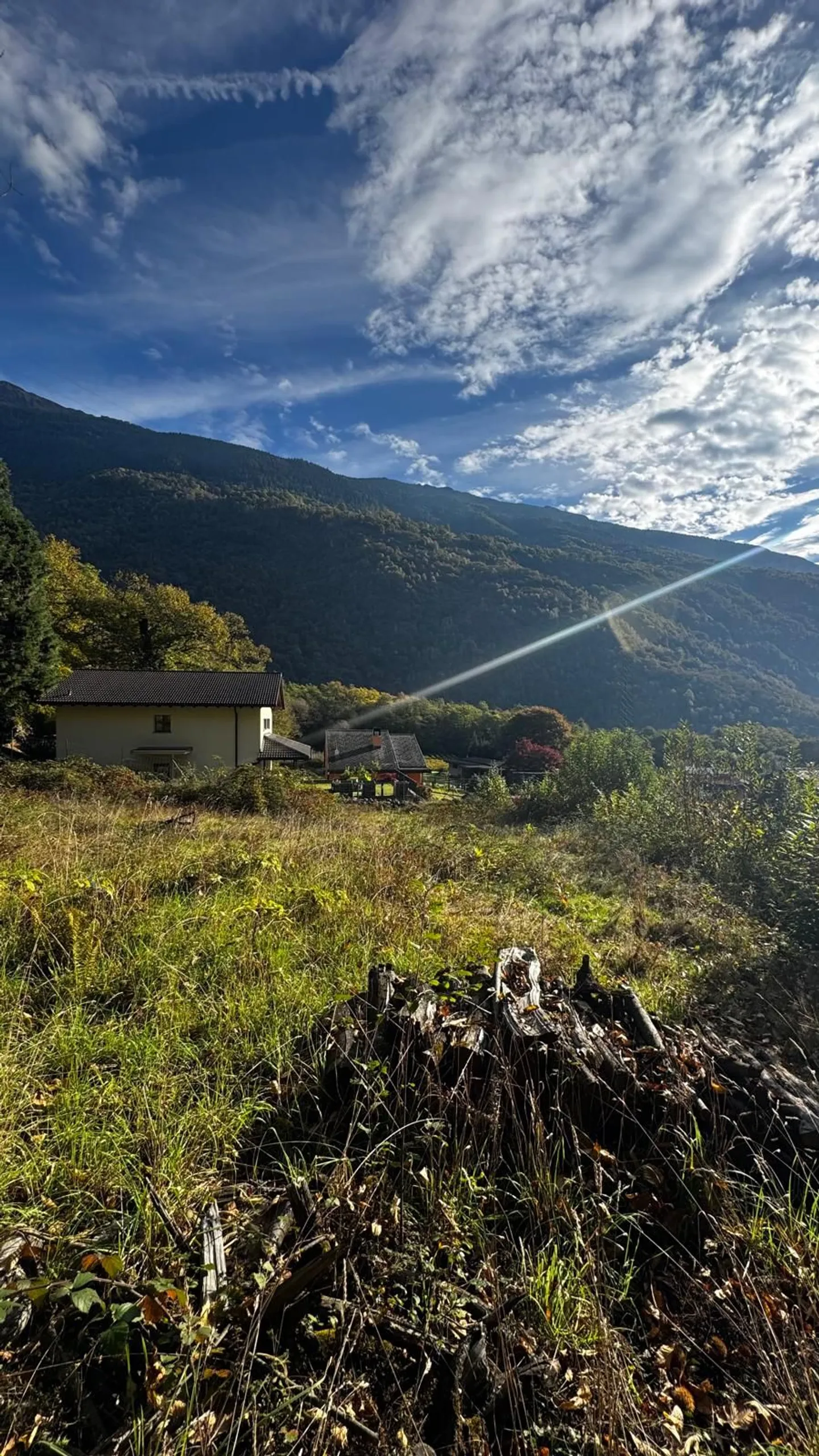 Terrain constructible avec piscine naturelle à Giornico - Photo 6 sur 7