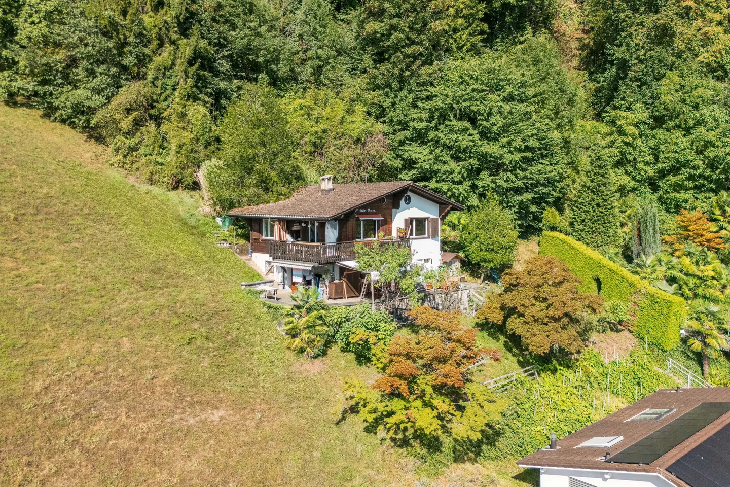 DREAMLIKE LAKE VIEW IN UNIQUE HILLSIDE LOCATION WITH GREAT POTENTIAL - Photo 3 of 5