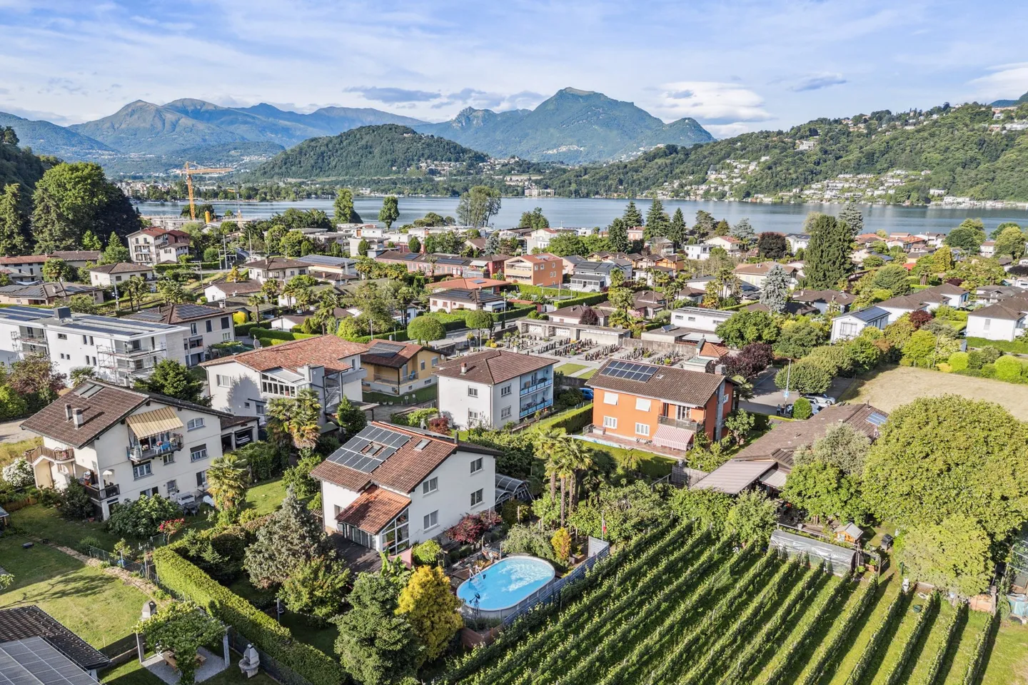 Oasi di bagno con palme e piscina - Foto 1 di 5