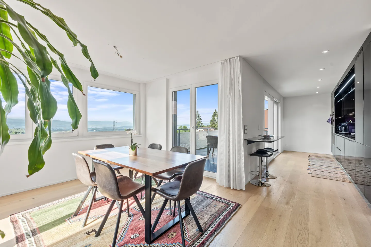 APPARTAMENTO MODERNO 4.5 STANZE MINERGIE A ADETSWIL CON VISTA SULLE ALPI - Foto 1 di 5