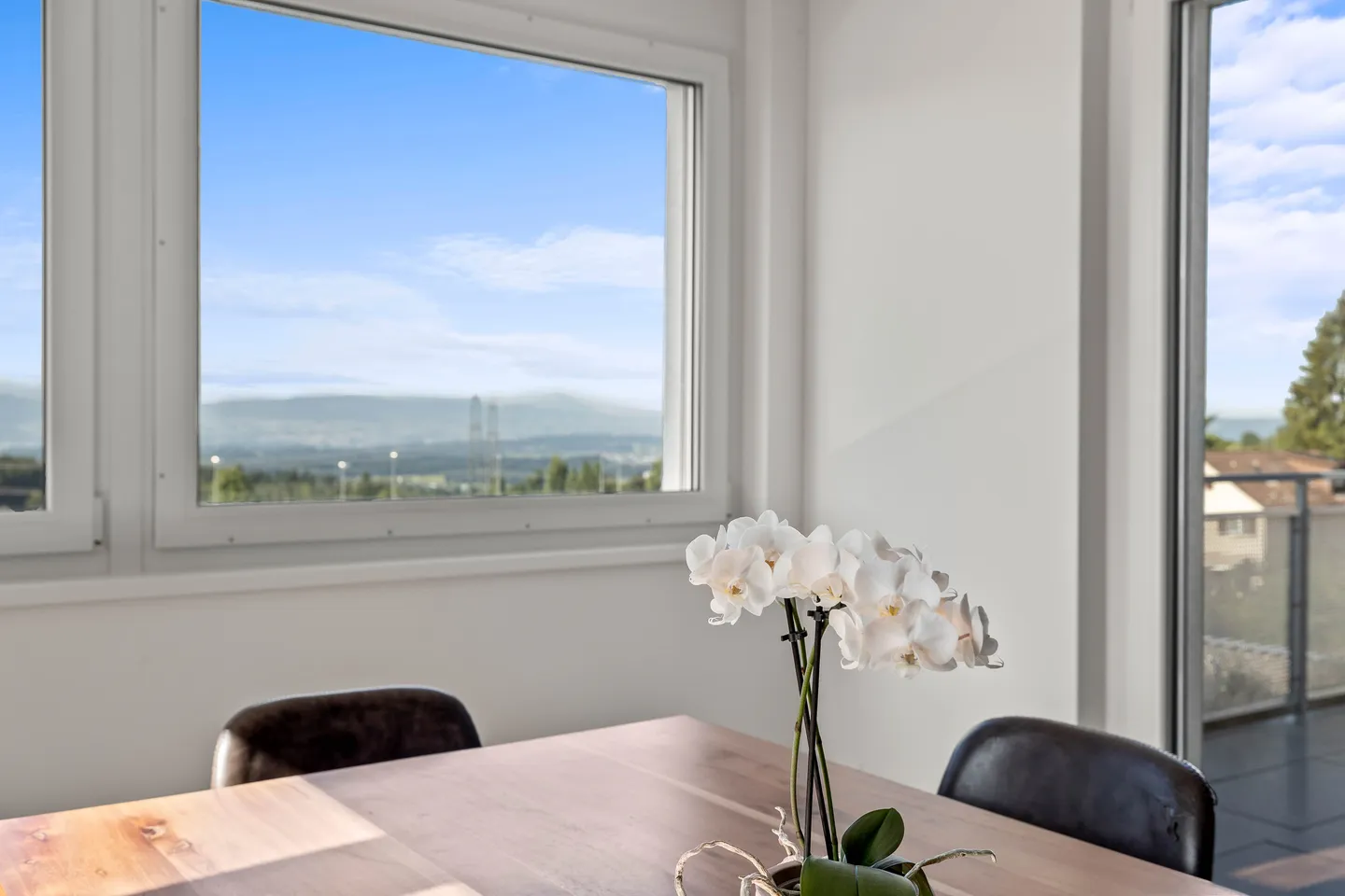 APPARTAMENTO MODERNO 4.5 STANZE MINERGIE A ADETSWIL CON VISTA SULLE ALPI - Foto 4 di 5