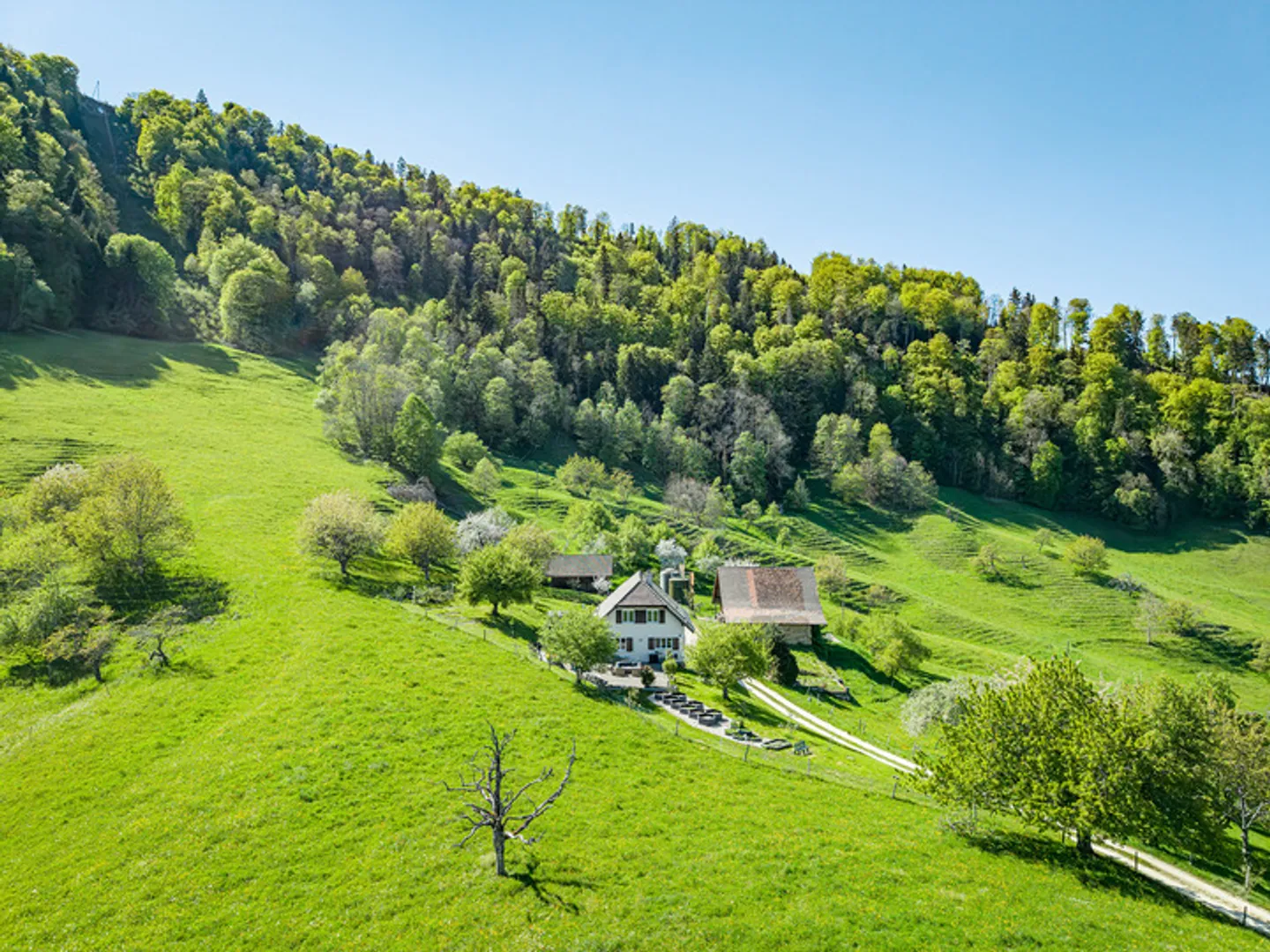 Charmantes Einfamilienhaus in der Natur - Foto 7 von 8