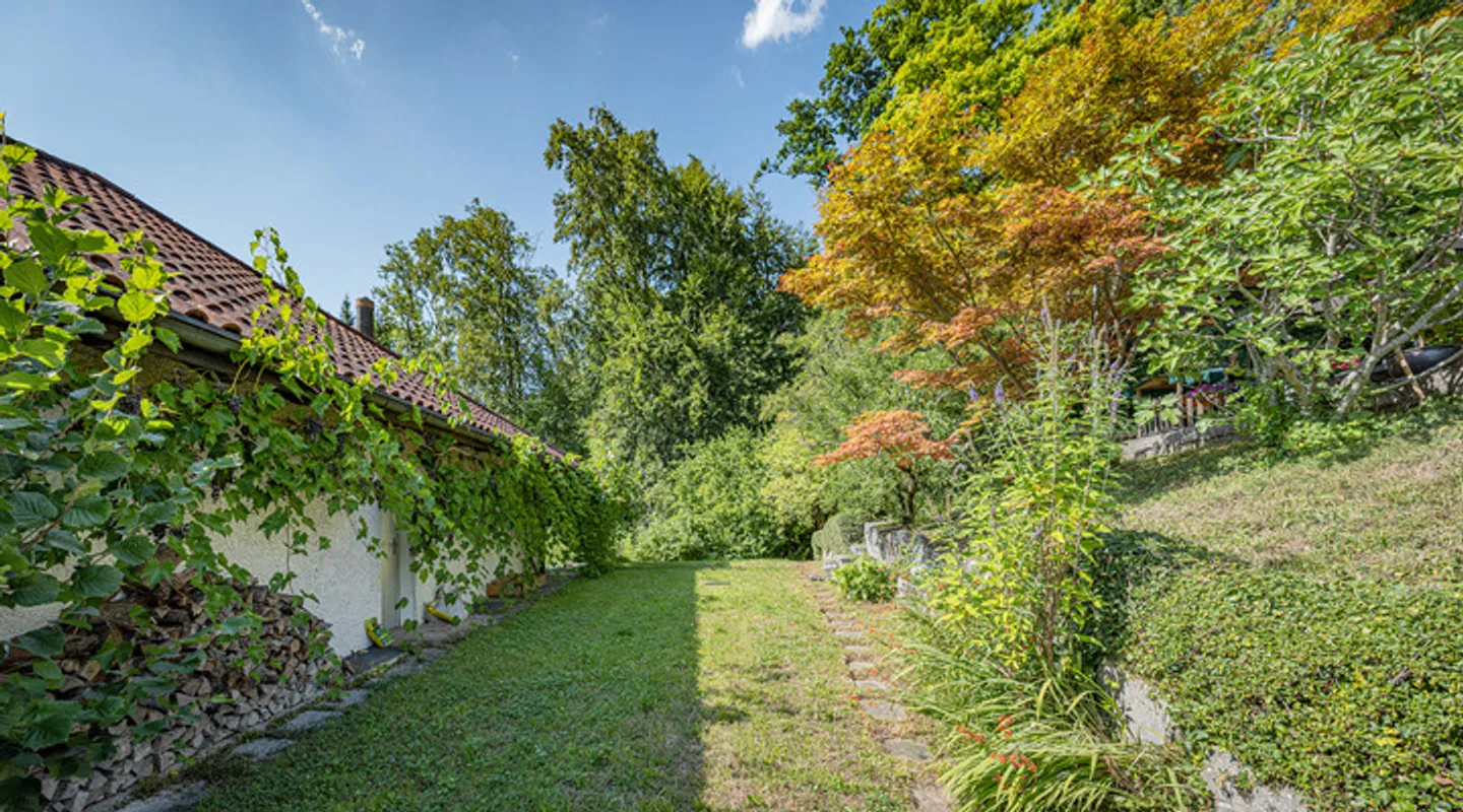 BUILDING LAND OPPORTUNITY IN FELDMEILEN - Photo 5 of 8