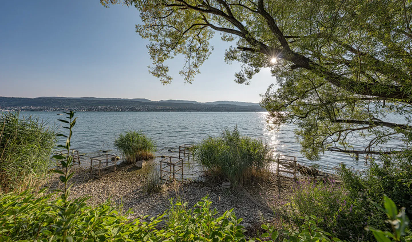 BUILDING LAND OPPORTUNITY IN FELDMEILEN - Photo 7 of 8