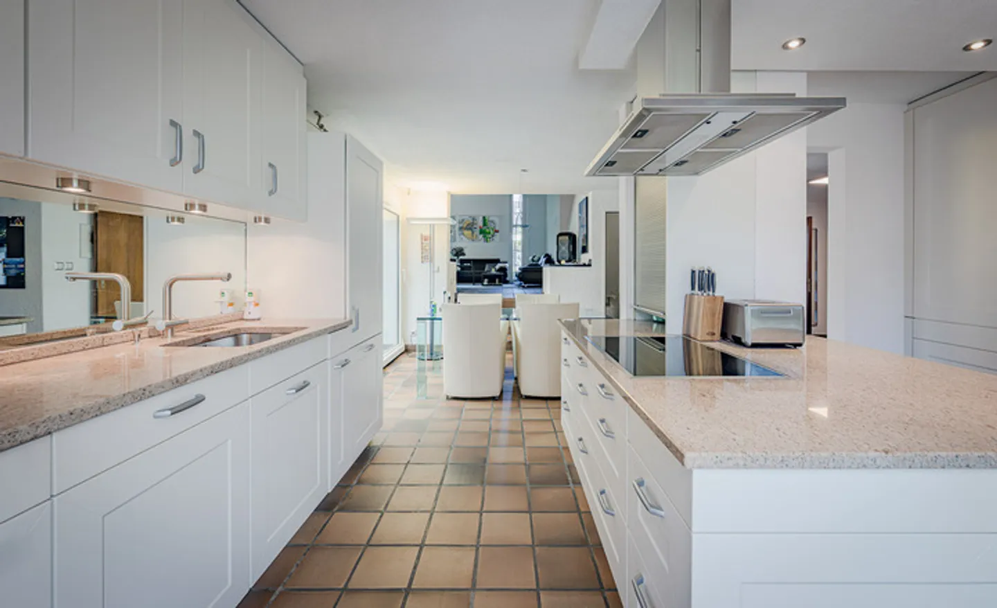 MAISON INDIVIDUELLE AVEC OASIS DE JARDIN EXCEPTIONNELLE ET PISCINE - Photo 4 sur 8