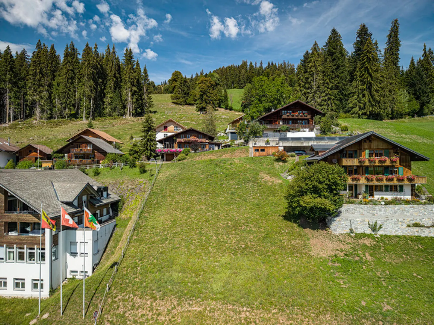 ATTRACTIVE BUILDING PLOT IN THE MIDST OF THE BERN ALPS - Photo 3 of 8