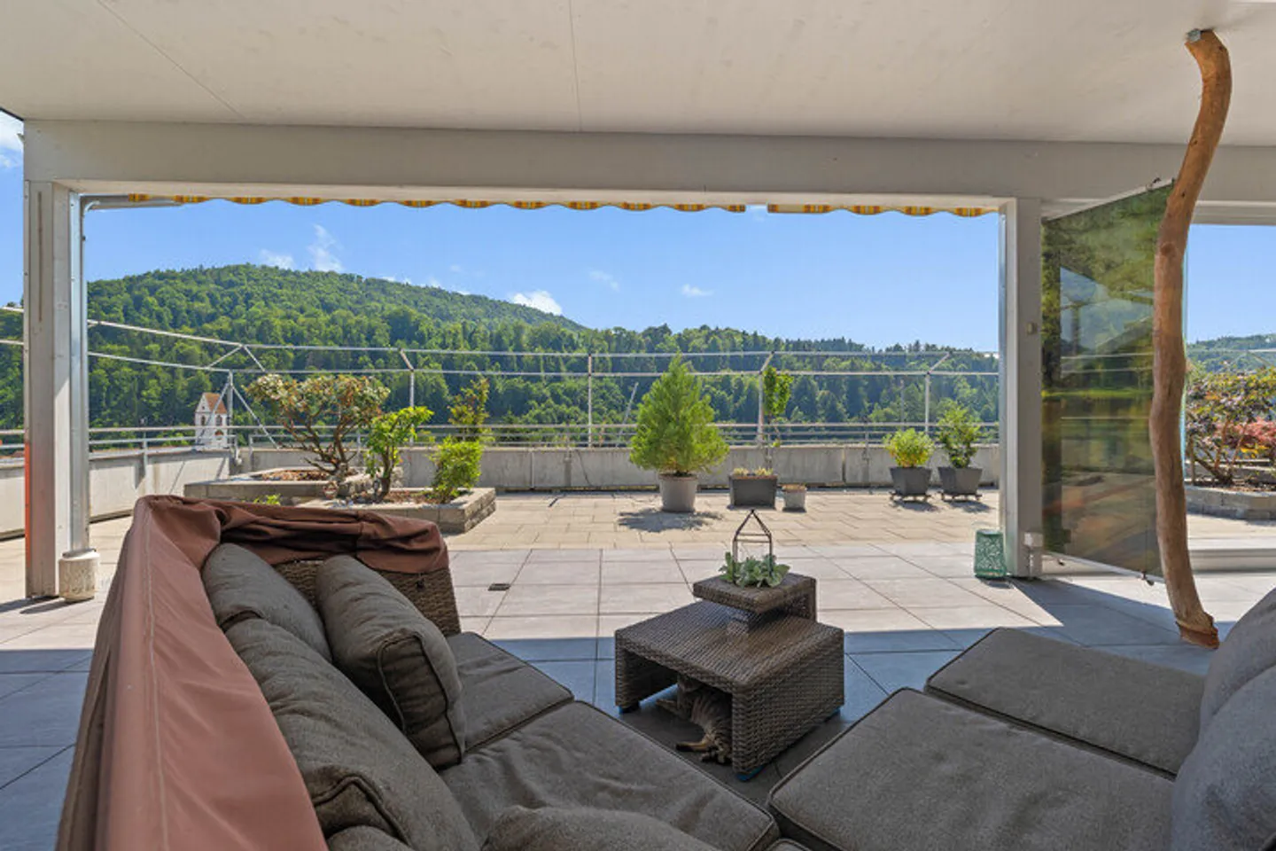 SPETTACOLO ELEGANTE DELLA TERRAZZA - Foto 4 di 8