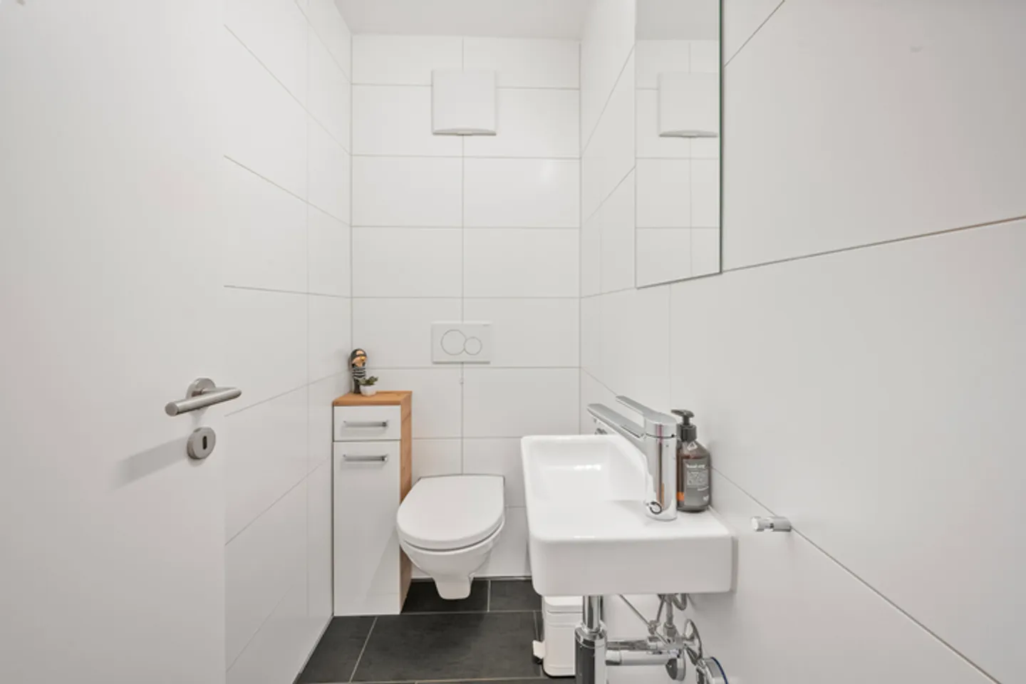 SPETTACOLO PANORAMICO AL 10° PIANO SUL LAGO DI COSTANZA - Foto 7 di 8