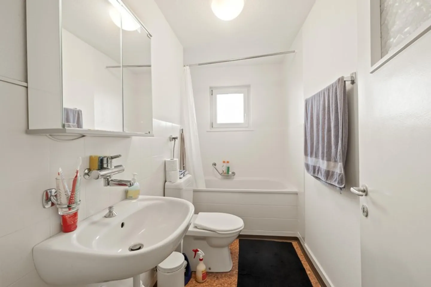 Investissement astucieux au bord du lac de Constance - Photo 7 sur 8