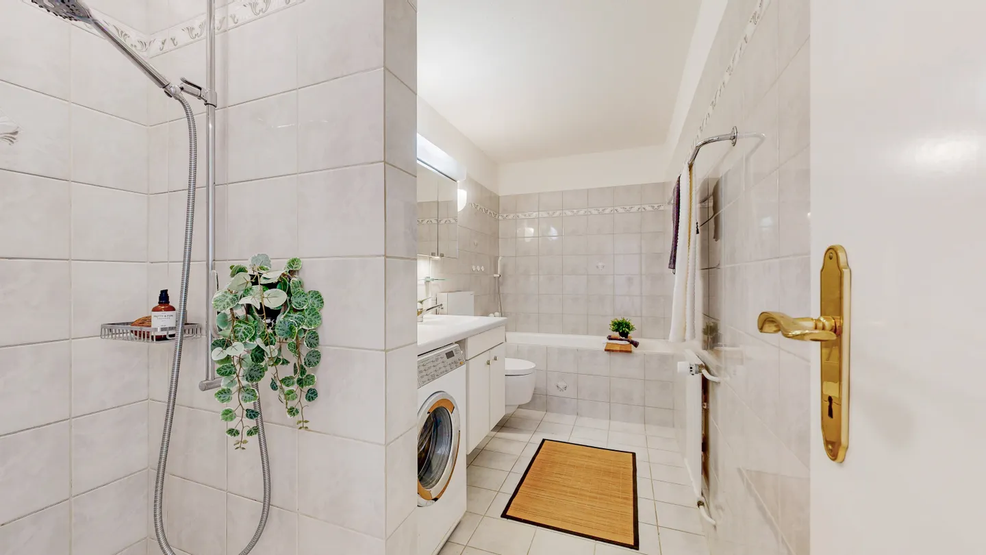 105 m² Living Quality in Schaffhausen - Photo 6 of 8