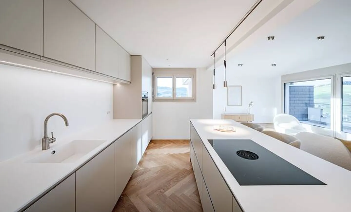 TERRACE APARTMENT SPECTACLE HIGH ABOVE LAKE ZUG - Photo 5 of 9