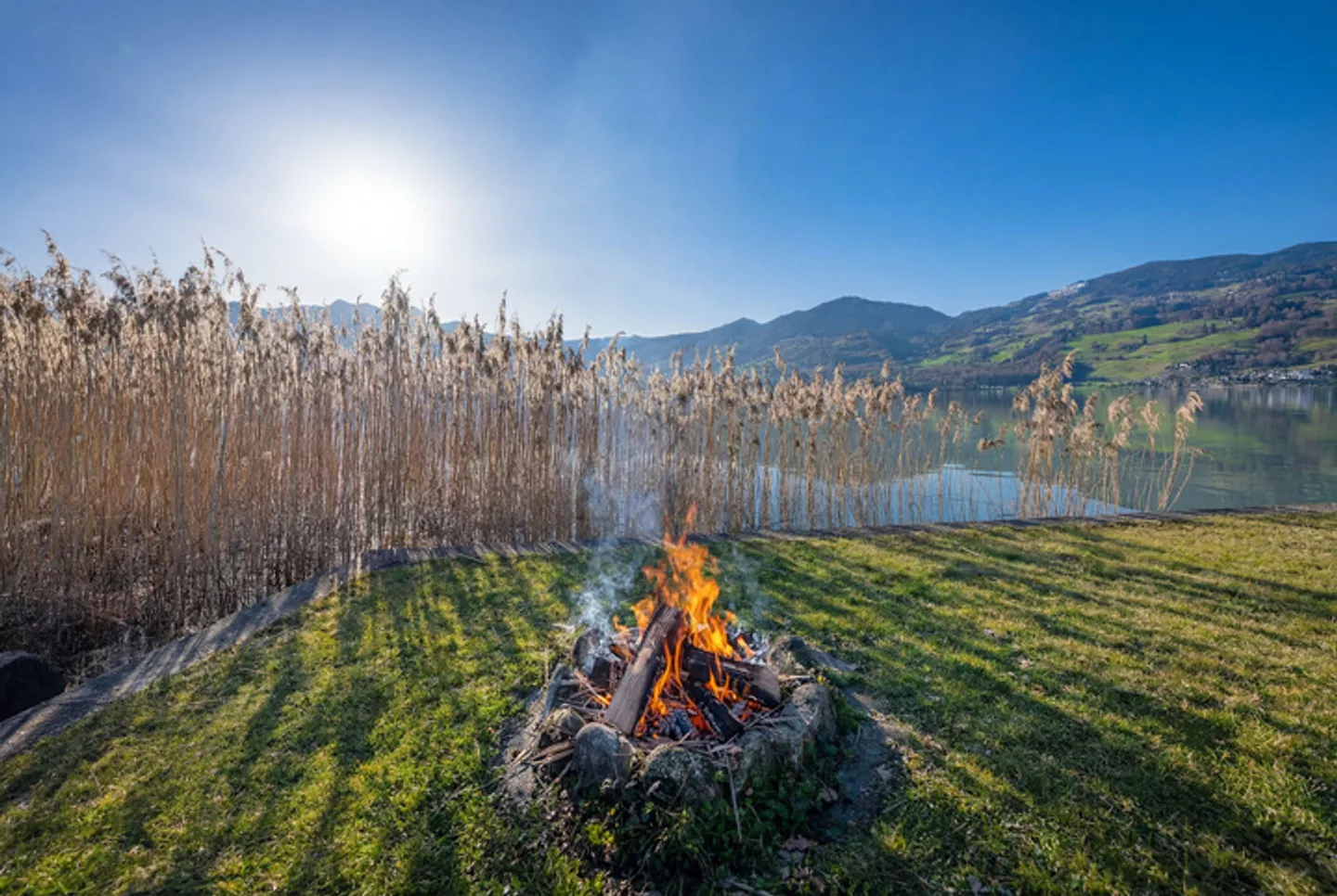 GARDEN APARTMENT WITH WINTER GARDEN & SAUNA – YOUR PRIVATE RETREAT - Photo 6 of 8