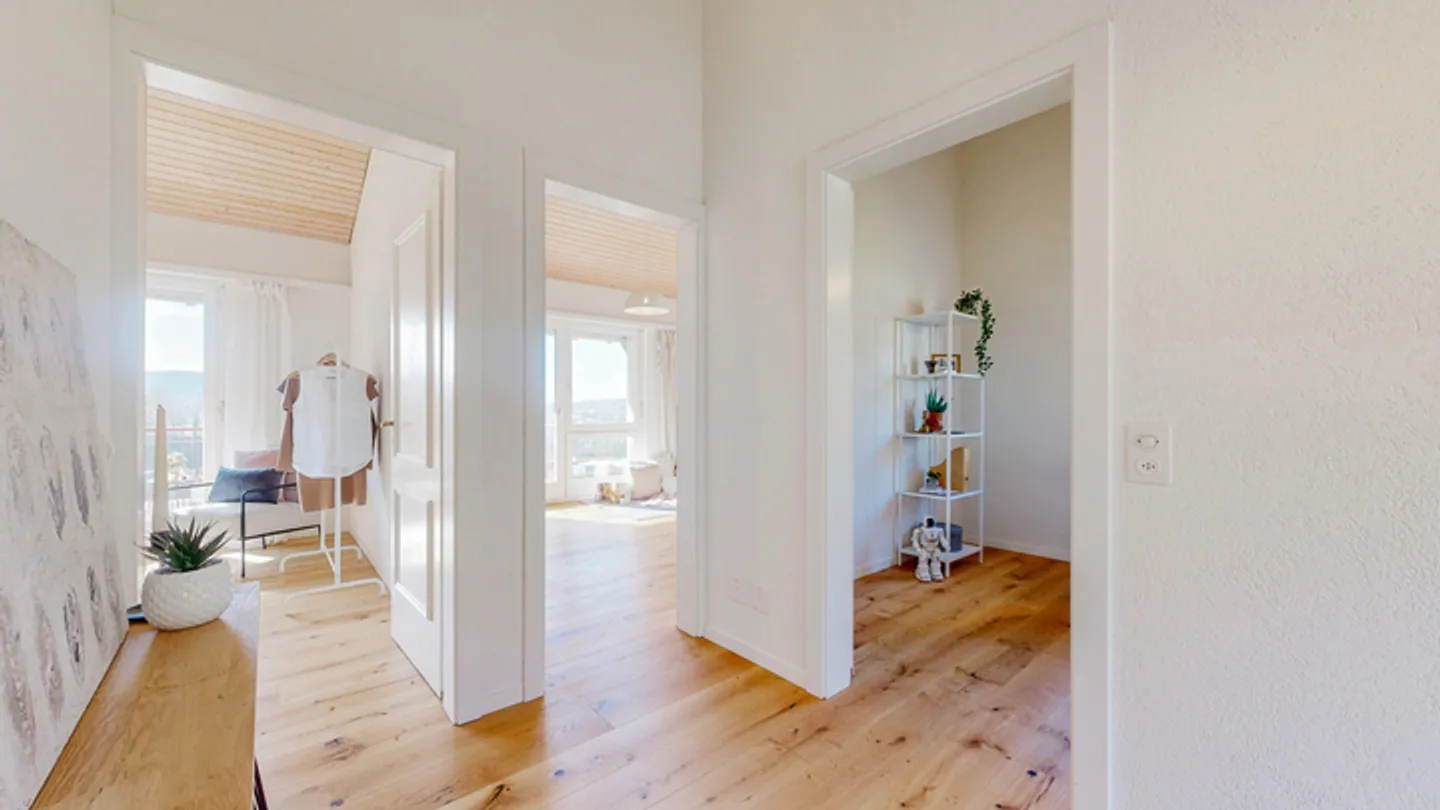 Un toast à la prévoyance sur la vallée du Hochrhein - Photo 7 sur 9