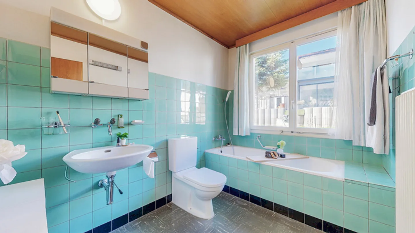 BALD IN BALSTHAL - BESTAND ODER NEUBEGIN N - Photo 7 of 9