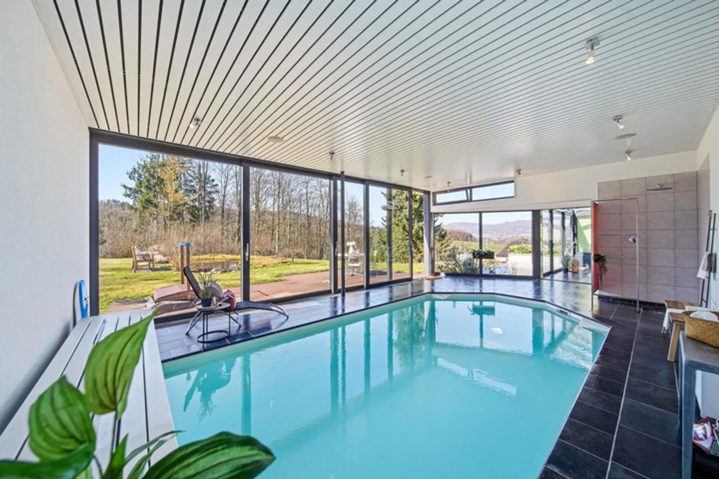 Lush Dimensions on the Property of Dreams - Photo 6 of 8