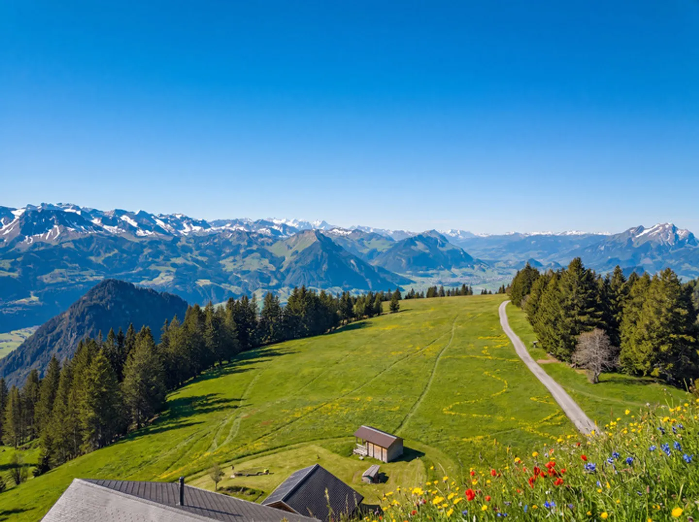 TERRAIN DE CONSTRUCTION ROYAL SUR RIGI SCHEIDEGG - Photo 5 sur 8