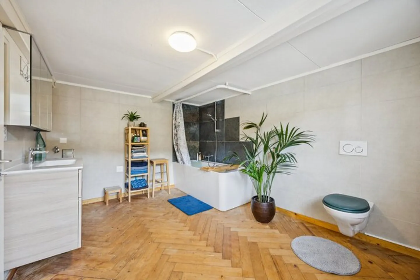 Diverse, Charming, Renovated Appenzeller House - Photo 6 of 8