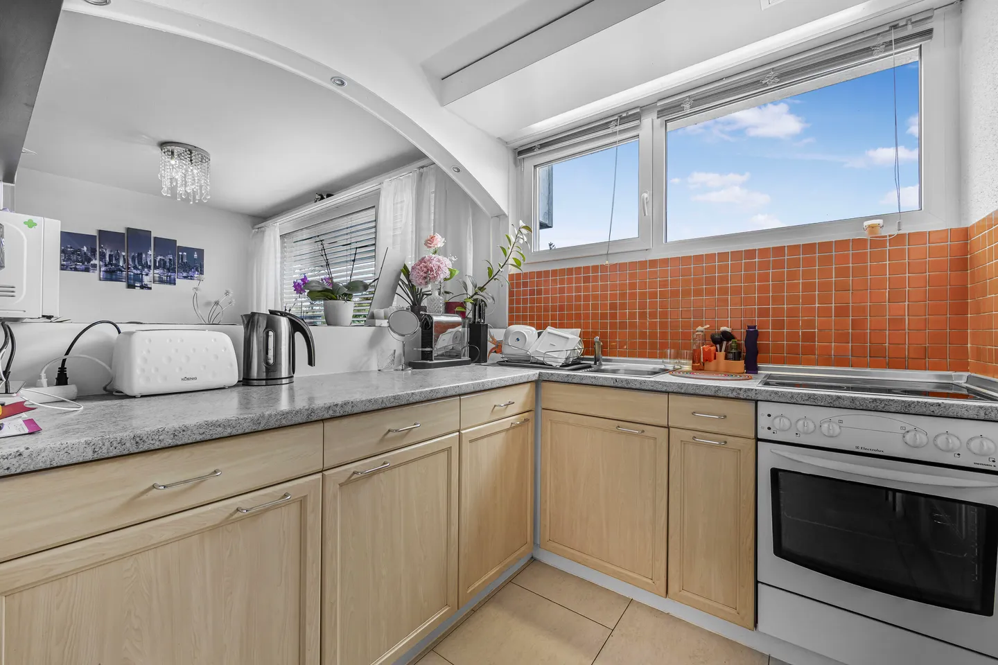 MERAVIGLIOSA VISTA NELLA CITTÀ DI ZURIGO - Foto 5 di 5