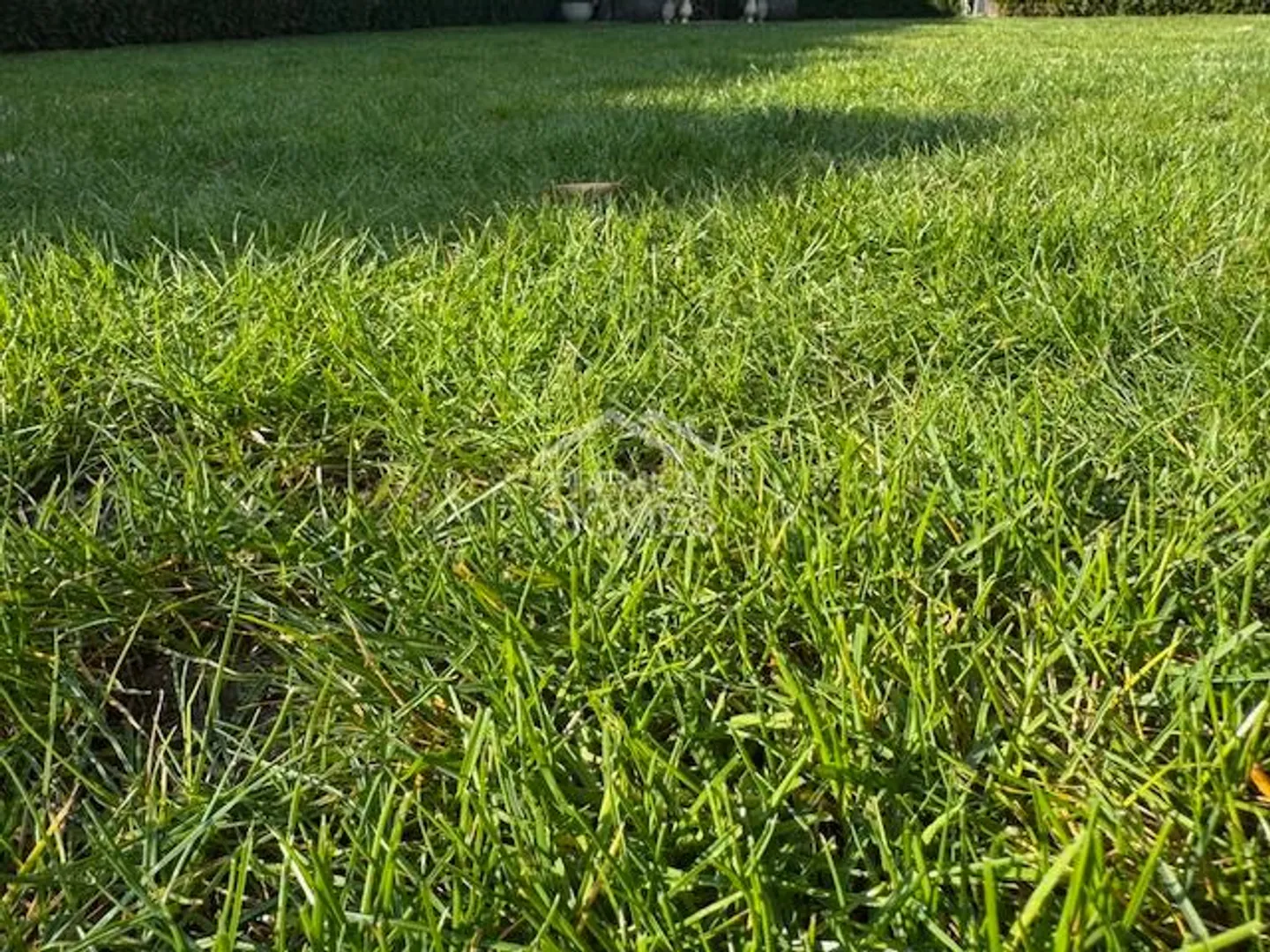 Property with Yield Perspective - Photo 1 of 7