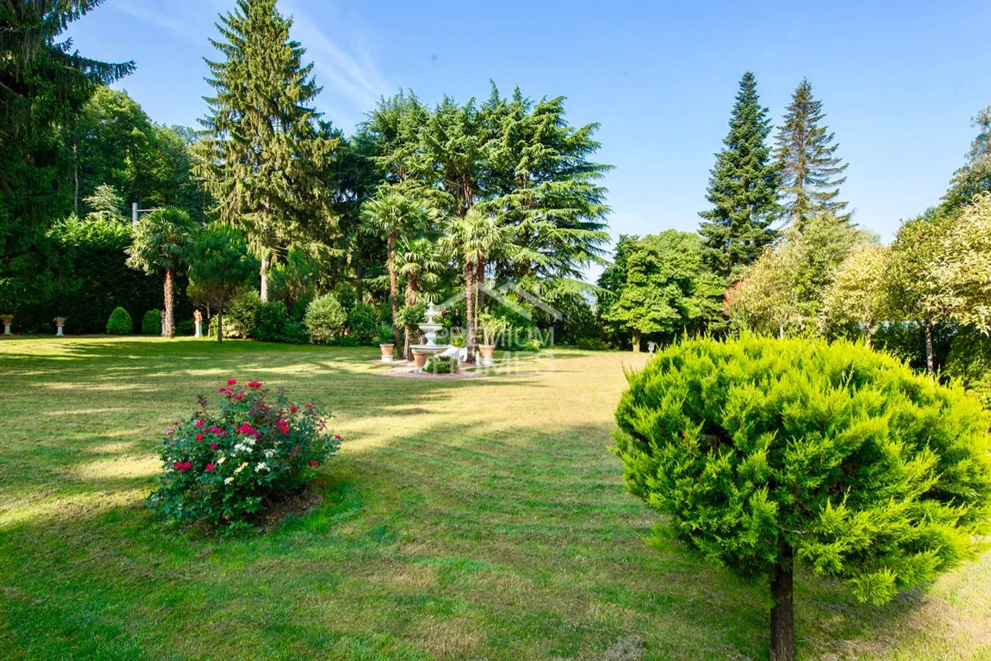 Prestigious residence among park, woods, lake and absolute privacy - Photo 4 of 6