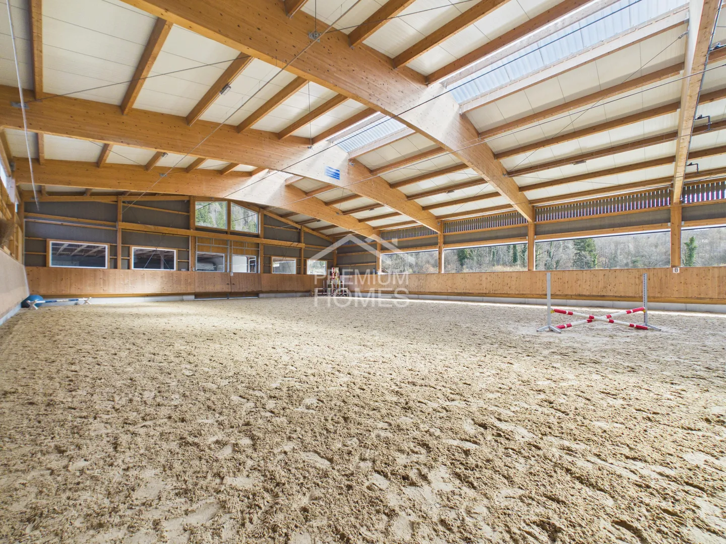 Professionelle Reitanlage - Foto 9 von 13
