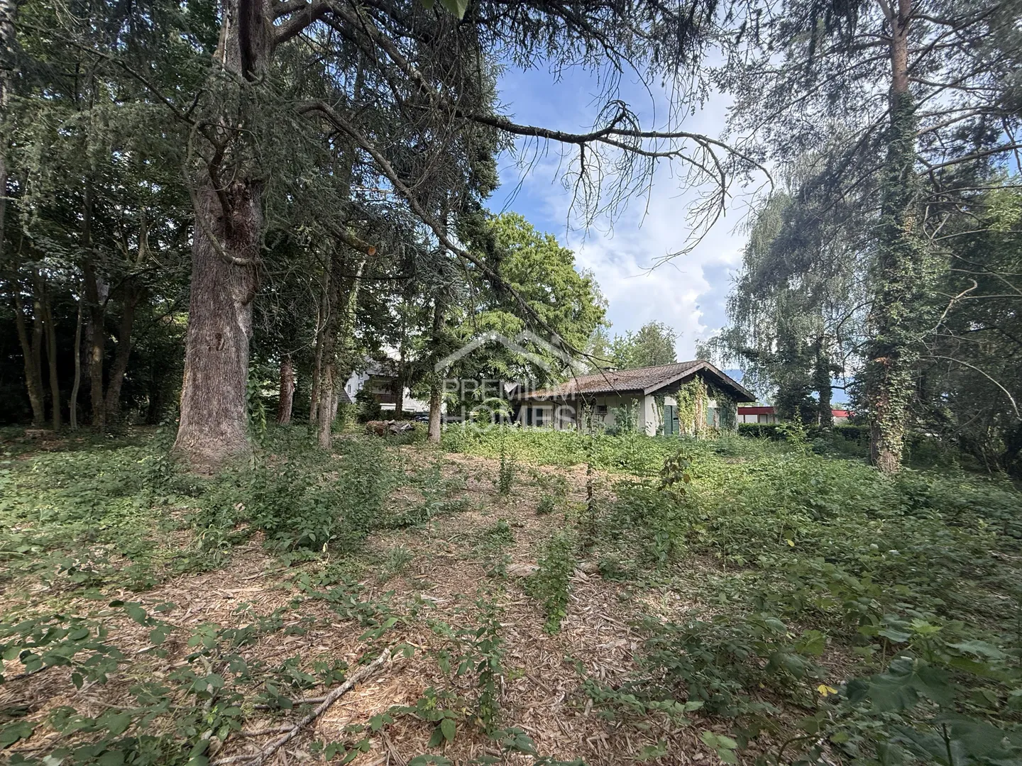 Terreno Privilegiato per Villa - Foto 7 di 9