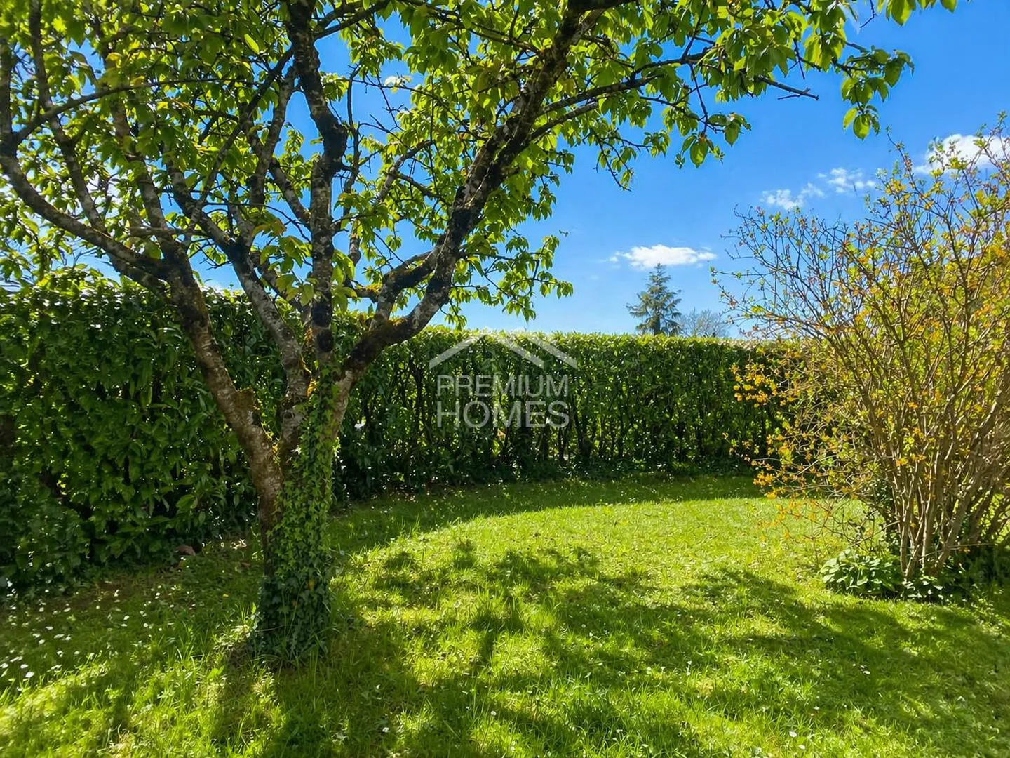 Your Retreat in the Green - Photo 4 of 6