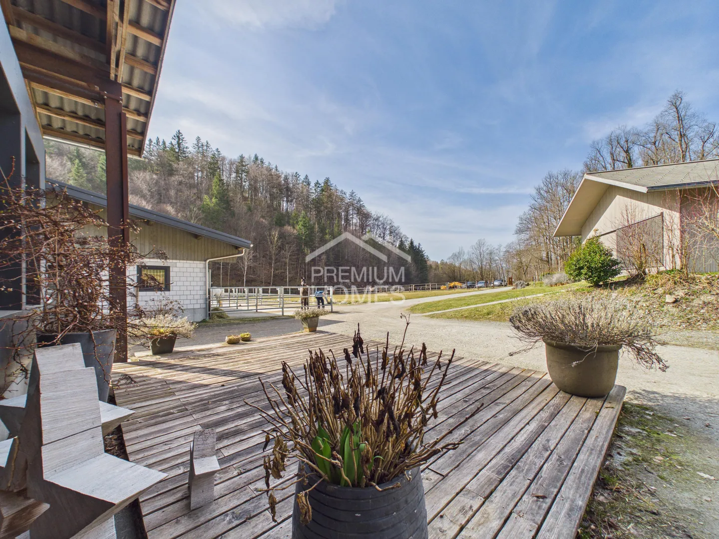 Reitsportparadies mit modernem Haus - Foto 5 von 9